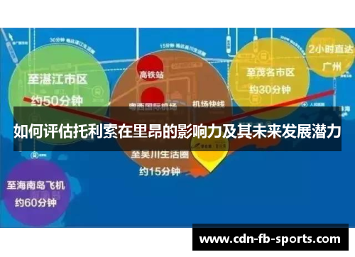 如何评估托利索在里昂的影响力及其未来发展潜力 如何评估托利索在里昂的影响力及其未来发展潜力
