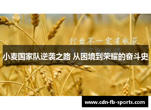 小麦国家队逆袭之路 从困境到荣耀的奋斗史