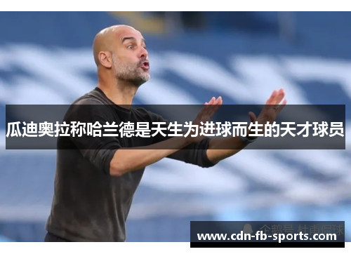 瓜迪奥拉称哈兰德是天生为进球而生的天才球员