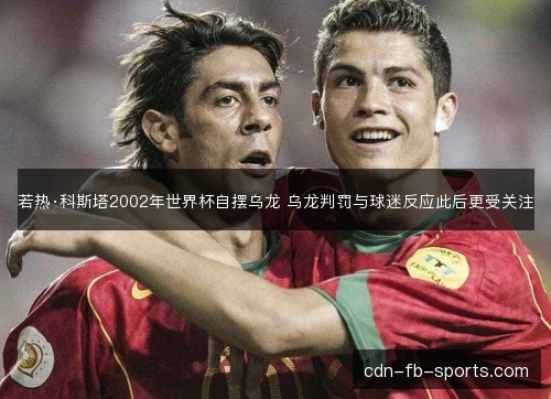 若热·科斯塔2002年世界杯自摆乌龙 乌龙判罚与球迷反应此后更受关注